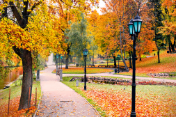 Things to do in Riga this autumn